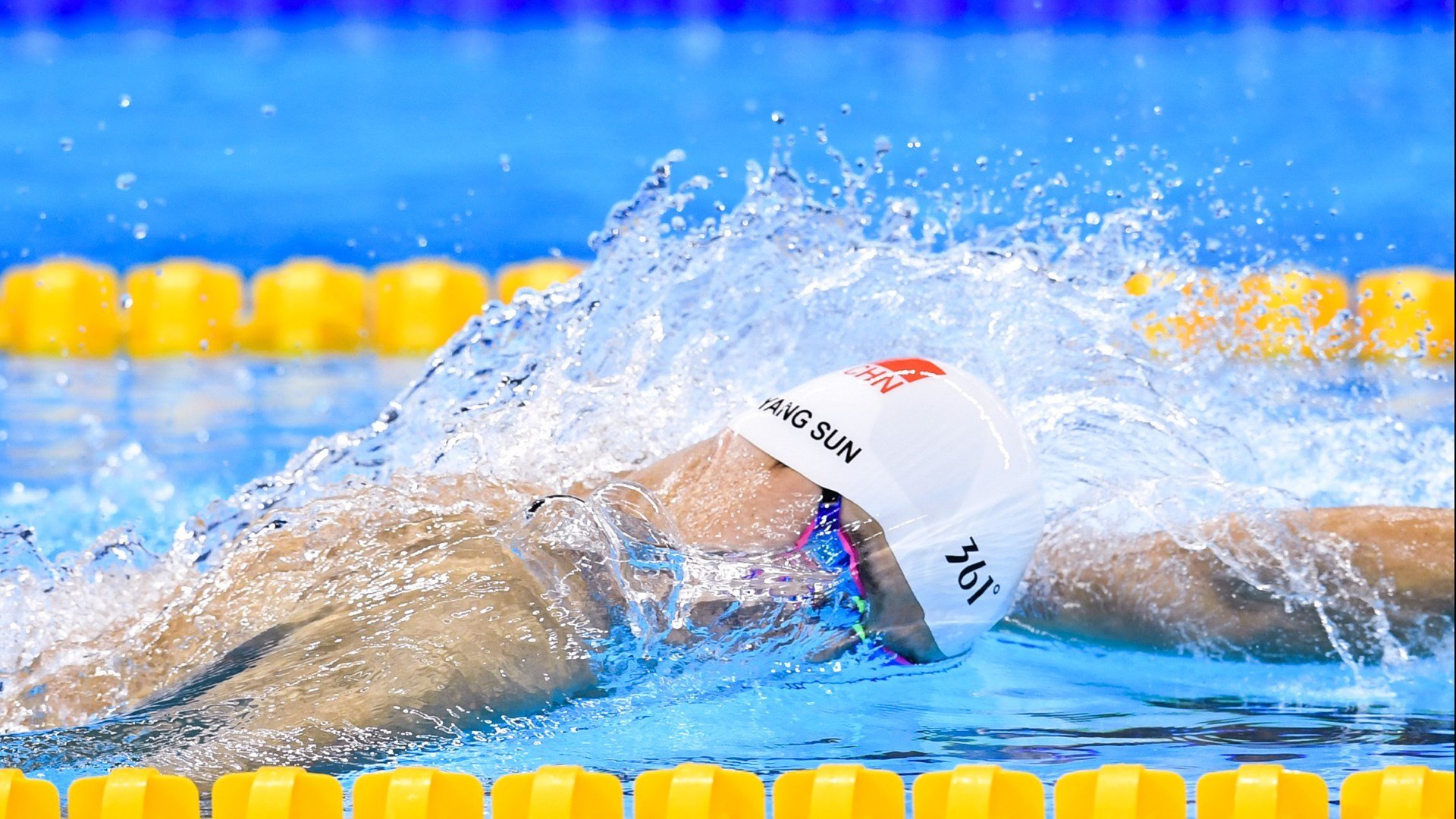 赛道与球场,速度与韧性的双重奏鸣